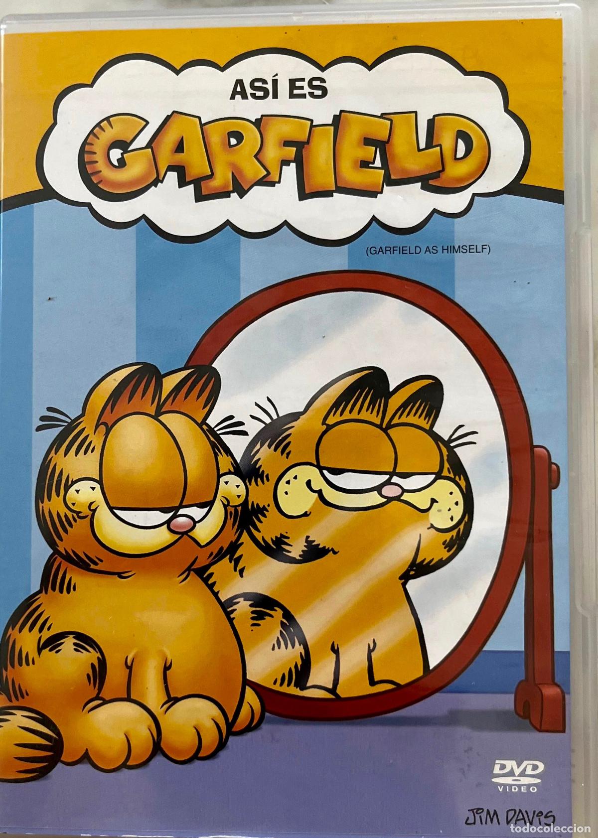 Cine: GARFIELD. ASI ES. DIBUJOS ANIMADOS. DVD 2004