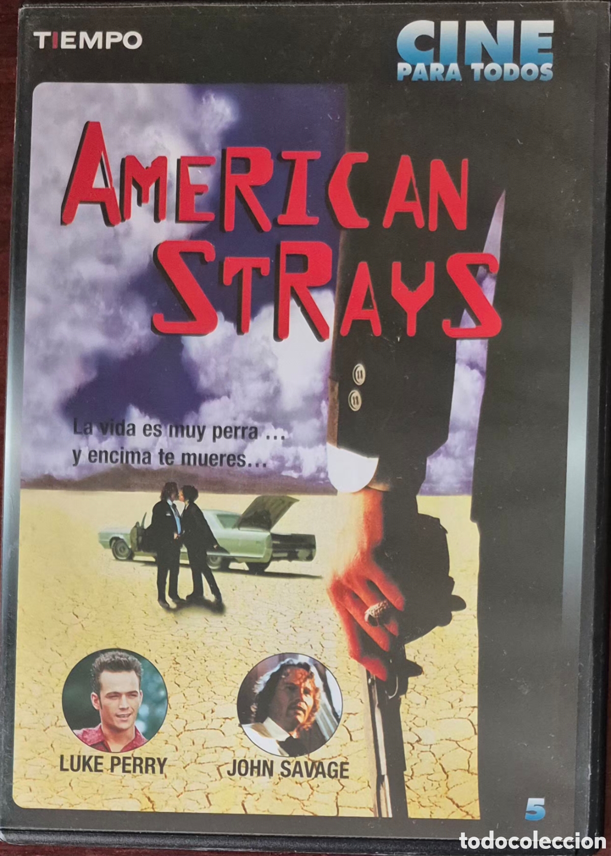 Cine: DVD - AMERICAN STRAYS