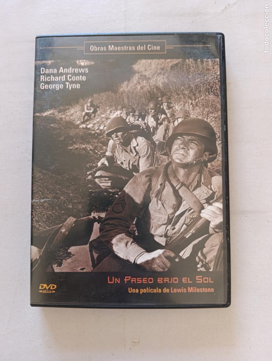 Cine: DVD UN PASEO BAJO EL SOL - DANA ANDREWS (H6)