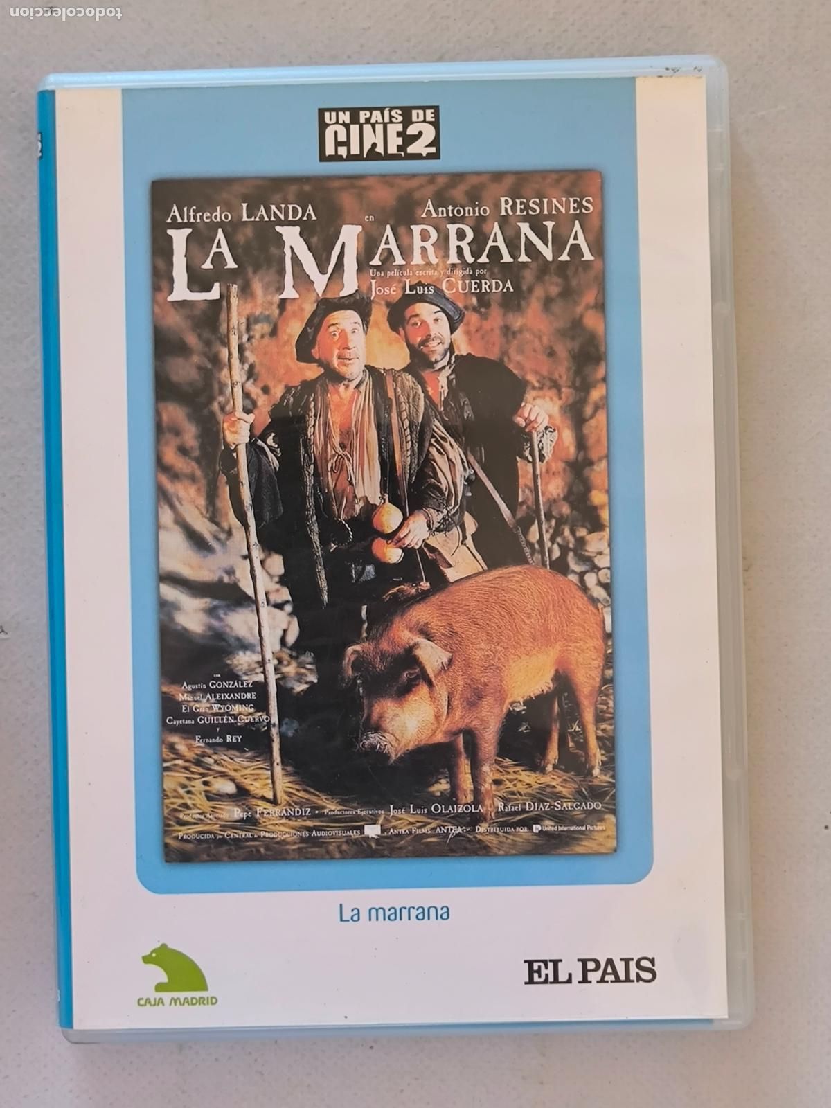Cine: DVD LA MARRANA - JOSE LUIS CUERDA (&Ntilde;6)
