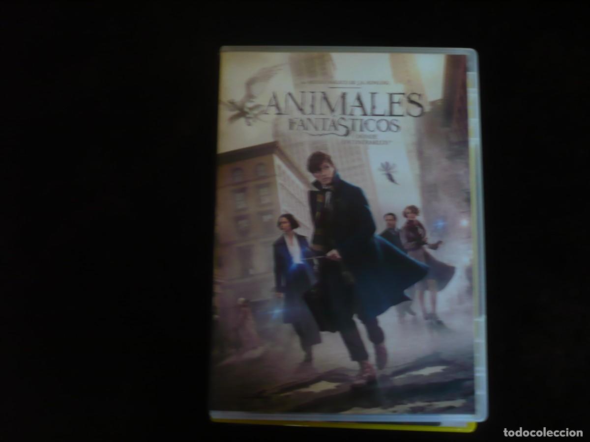 Cine: animales fantasticos y donde encontrarlos - dvd casi como nuevo