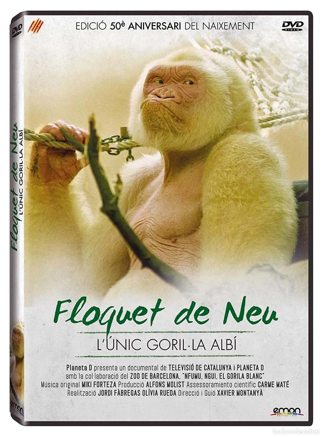 Cinema: FLOQUET DE NEU (DVD)