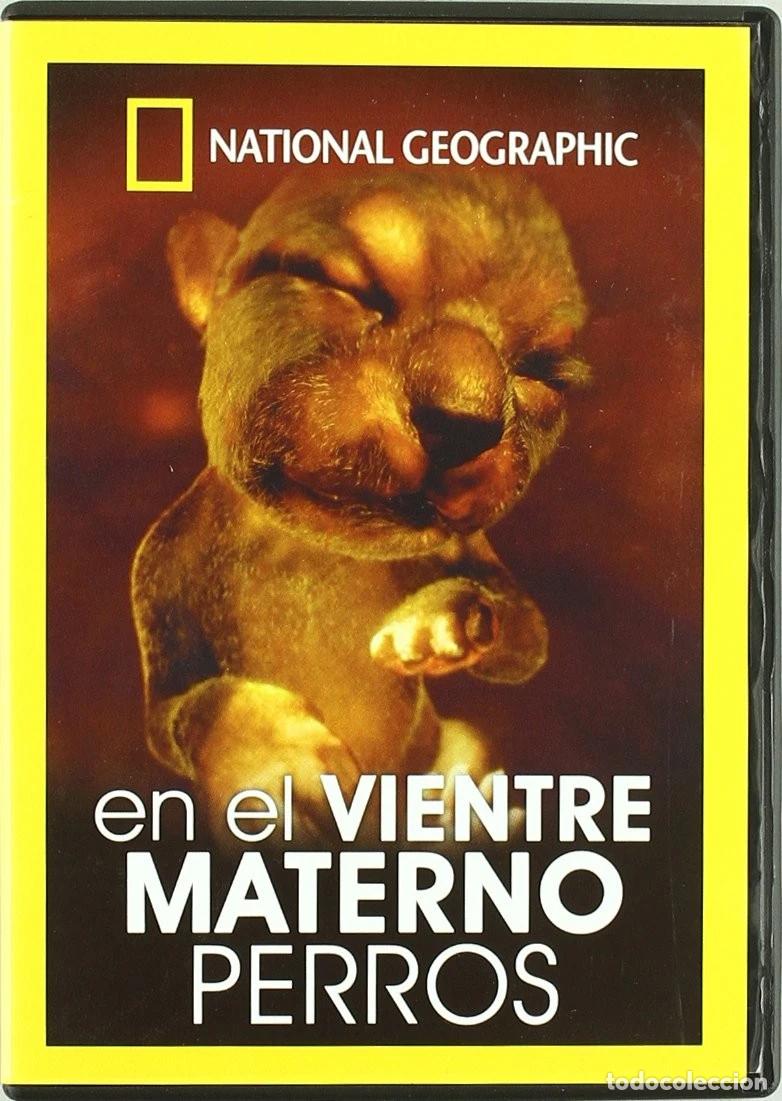 Cinema: En el vientre materno: perros [DVD]