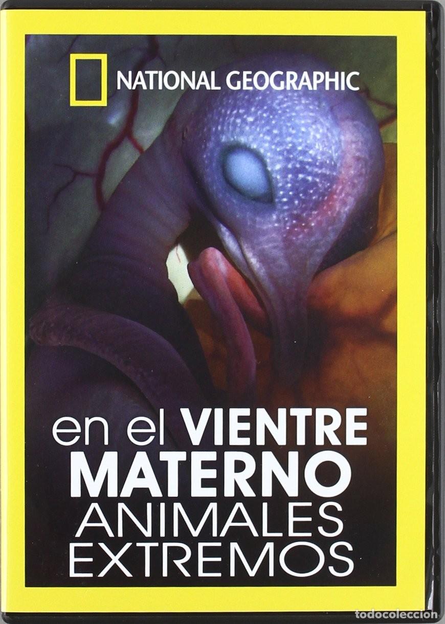 Cinema: Vientre Materno: Animales Extremos [DVD]
