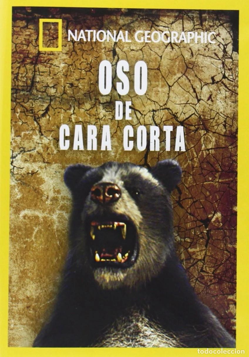Cine: OSO DE CARA CORTA (DVD)
