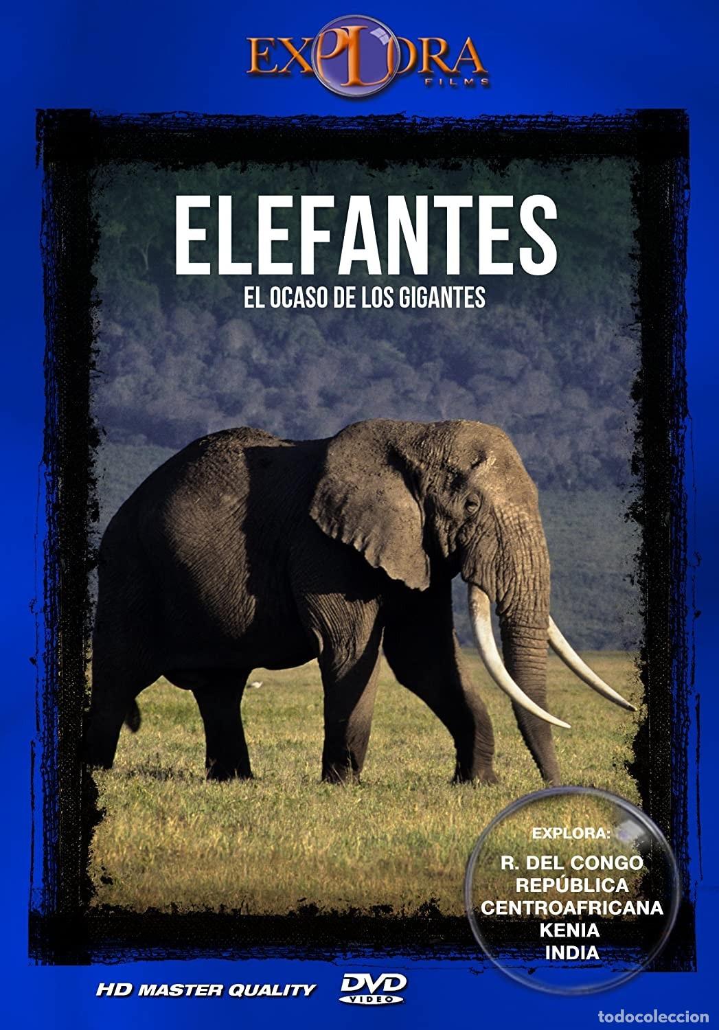 Cinema: Elefantes, El Ocaso de los Gigantes [DVD]