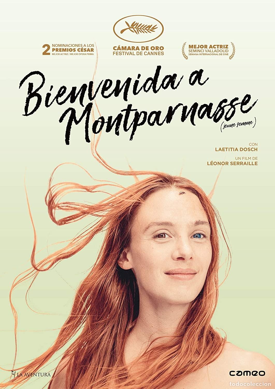 Cinema: Bienvenida A Montparnasse [DVD]