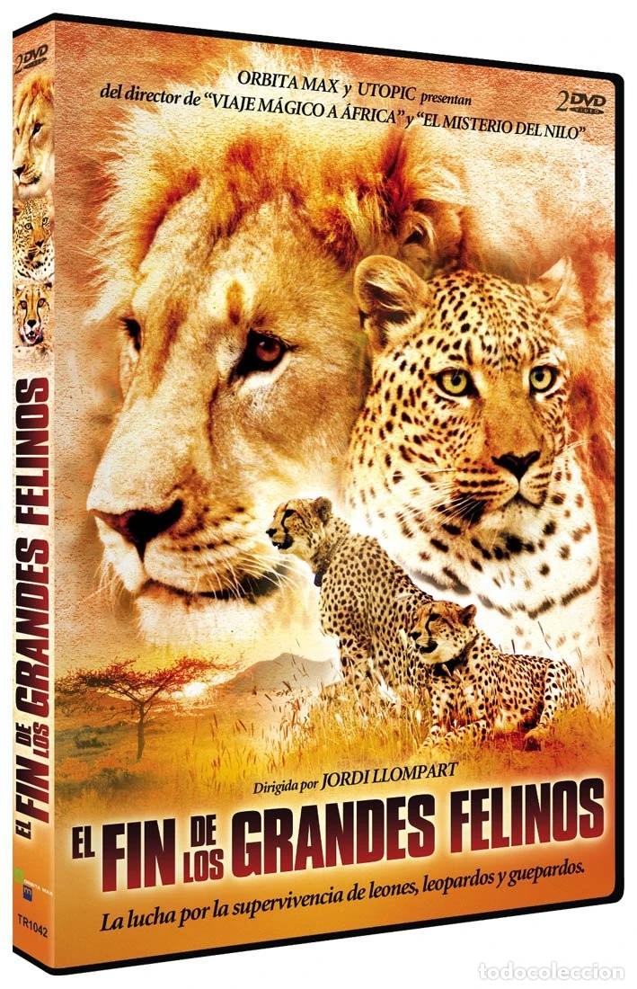 Cinema: EL FIN DE LOS GRANDES FELINOS (DVD)