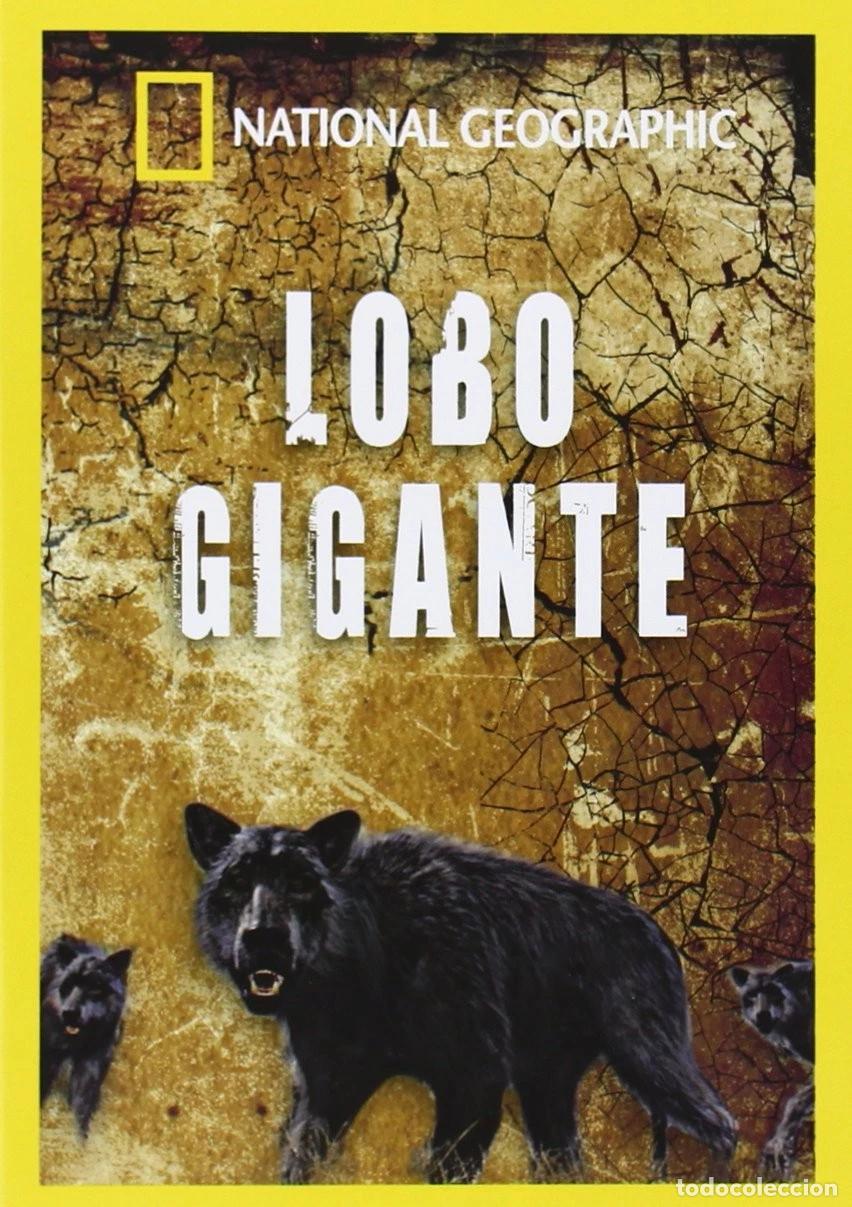 Cin&eacute;ma: LOBO GIGANTE (DVD)