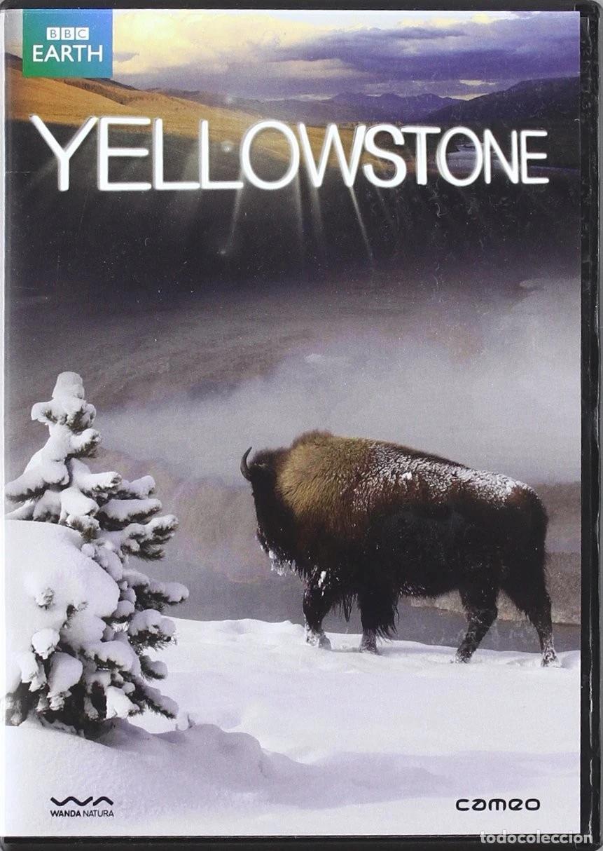 Kino: YELLOWSTONE: LA SERIE COMPLETA