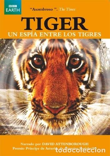 Kino: TIGER: UN ESPIA EN LA JUNGLA (DVD)