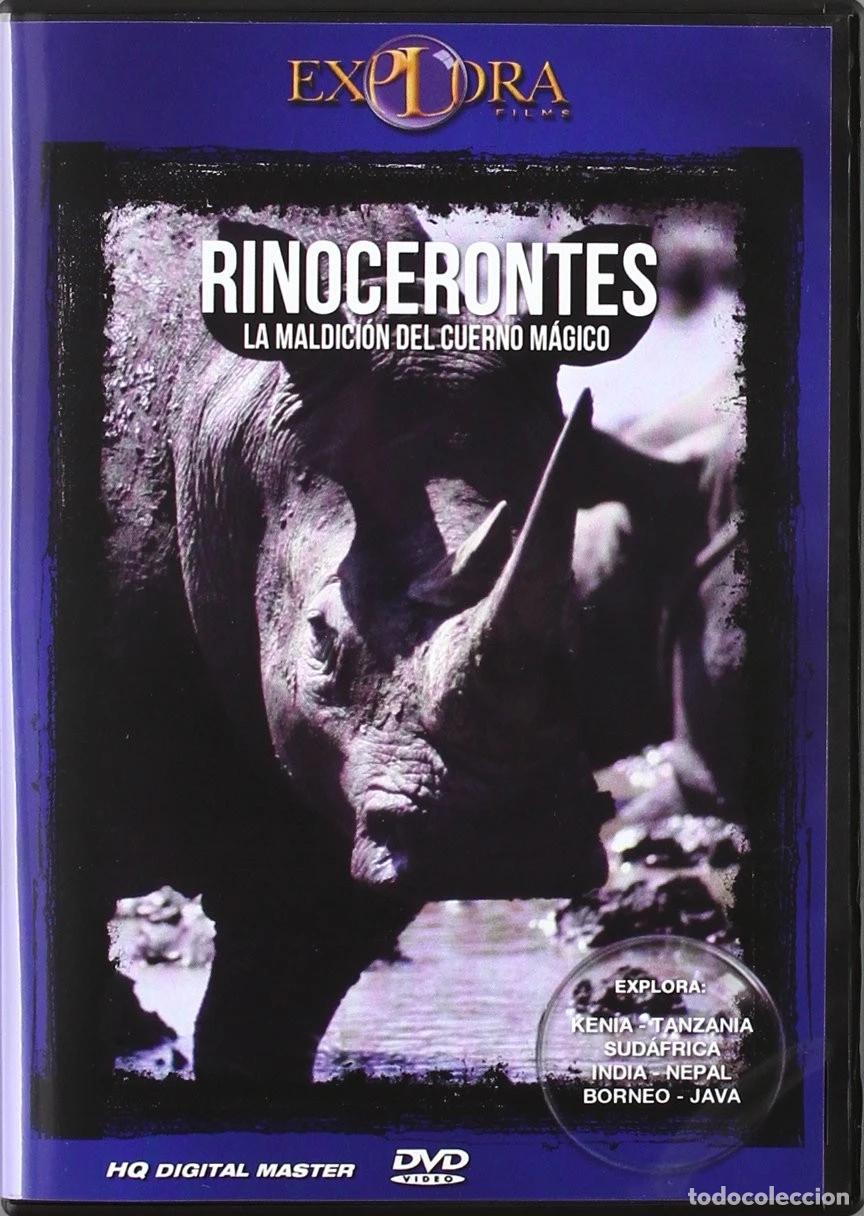 Kino: RINOCERONTES