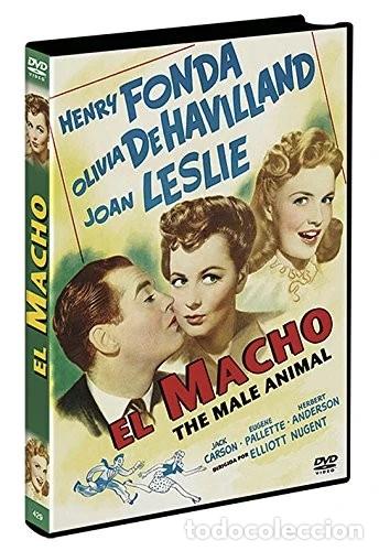 Cinema: El Macho DVD