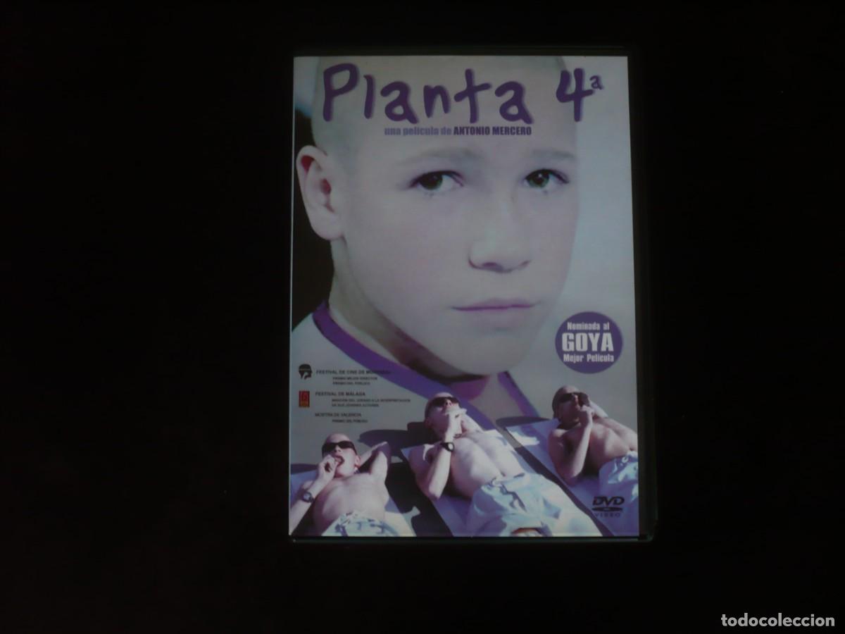 Cine: planta 4&ordf; - dvd como nuevo
