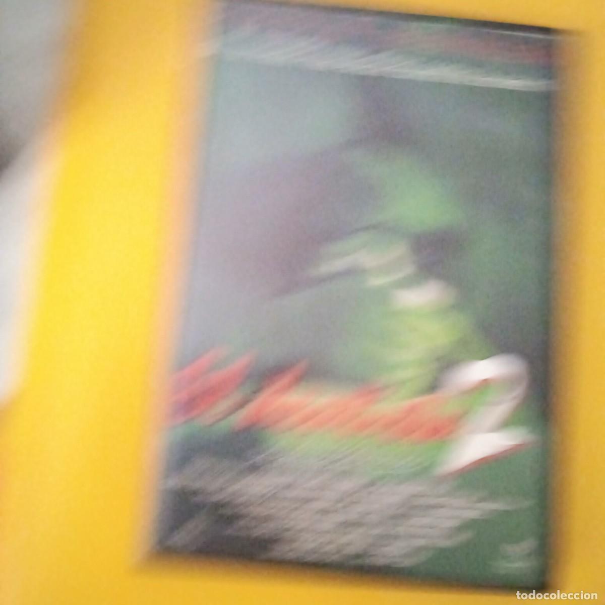 Cine: DVD - EL DENTISTA 2 - BRIAN YUZNA (TERROR GORE)