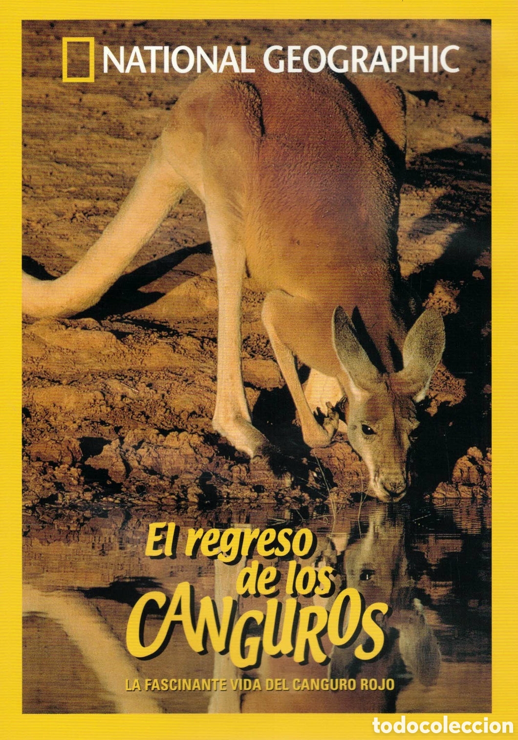 Cine: DVD National Geographic - El Regreso de los Canguros