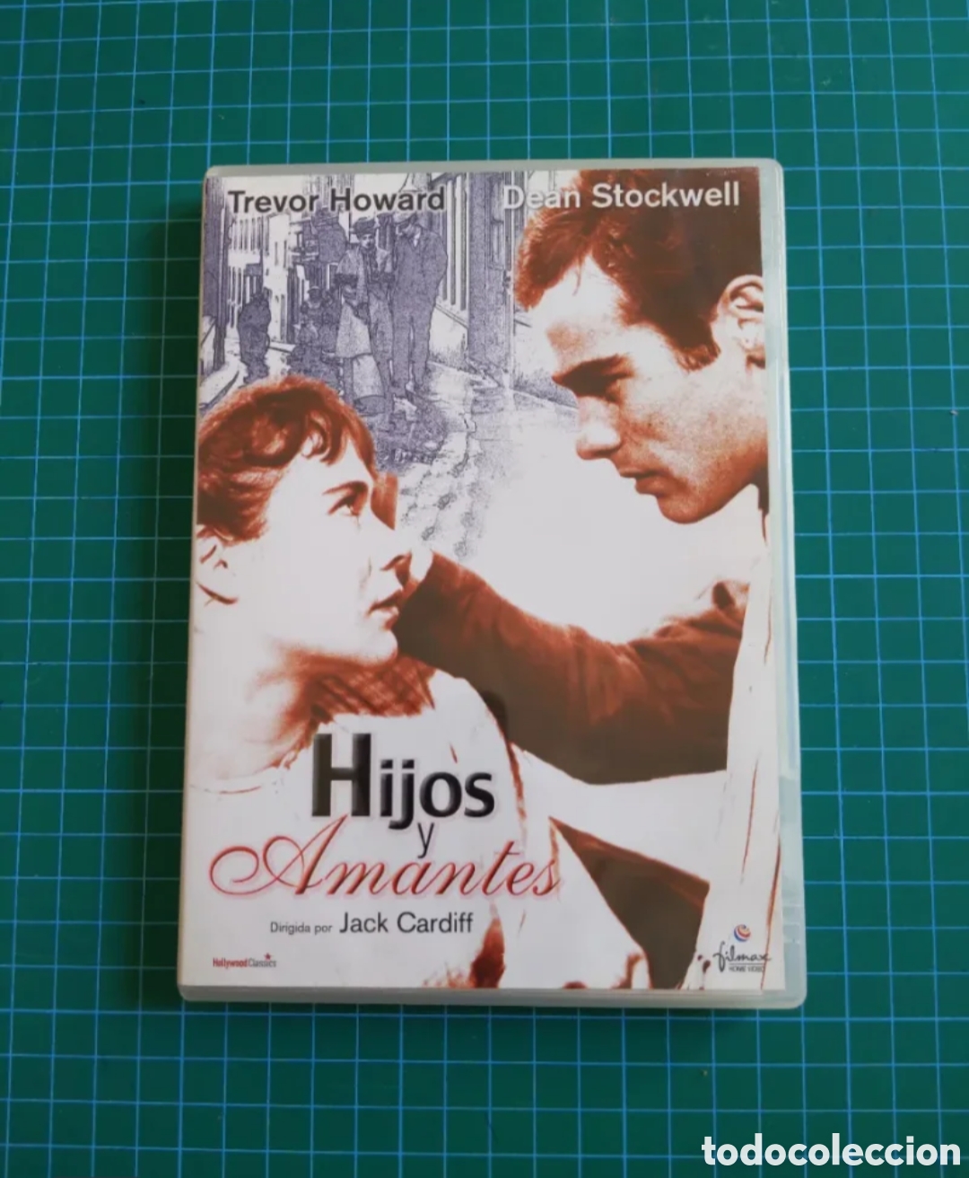 Cine: Hijos y amantes DVD 1960