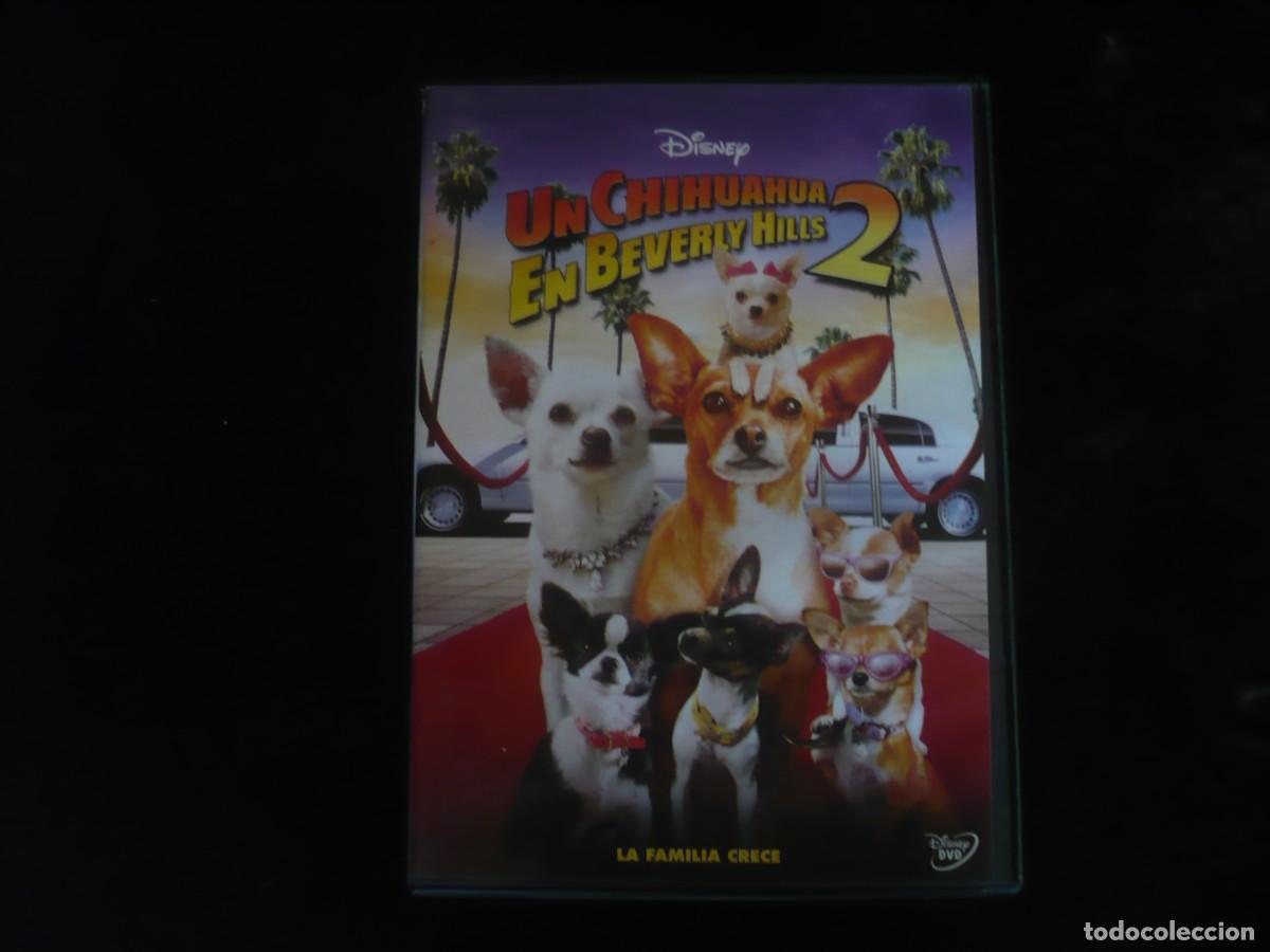 Cine: un chihuahua en beverly hills 2 - dvd casi como nuevo