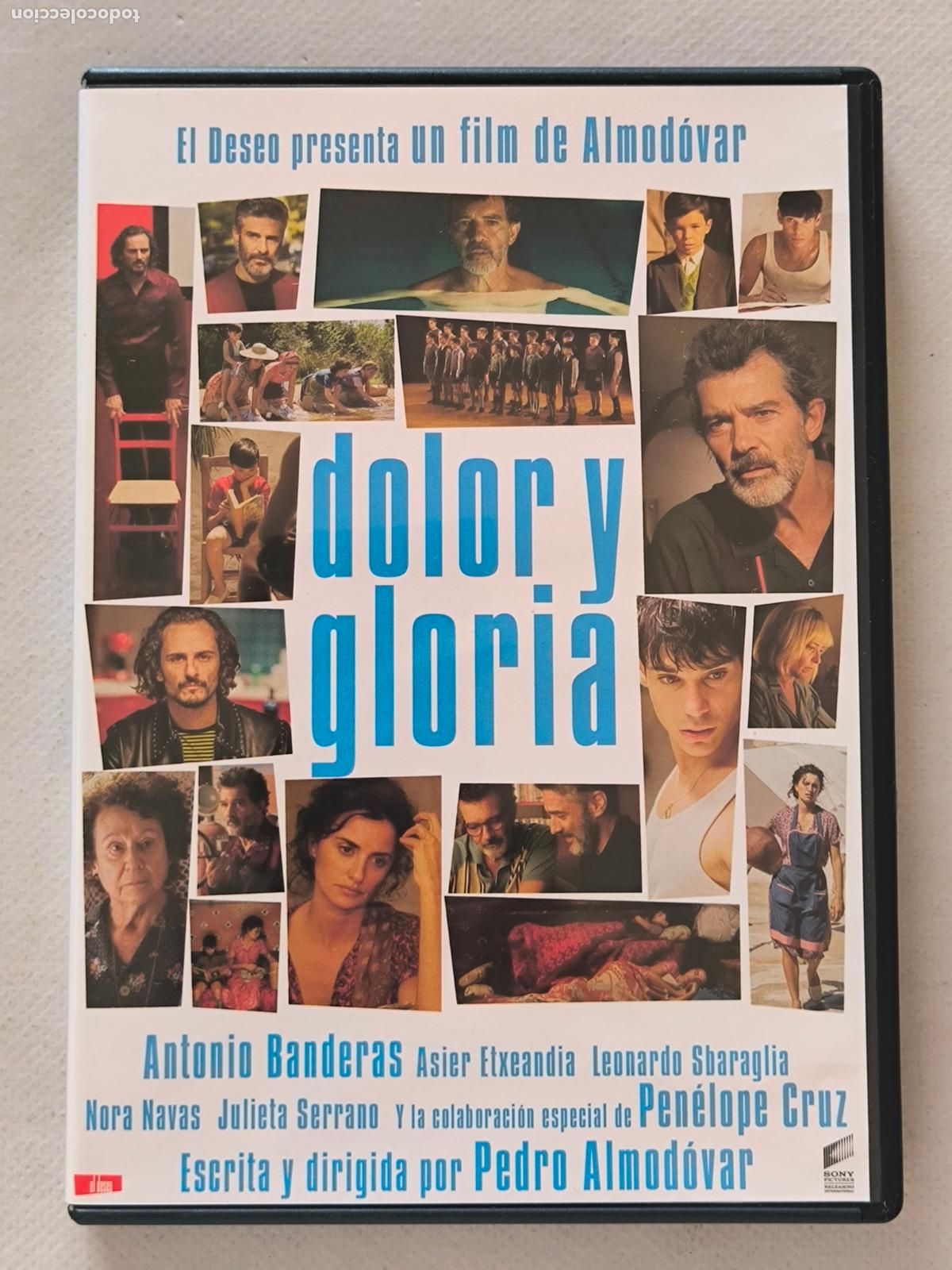 Cine: DVD DOLOR Y GLORIA - PEDRO ALMODOVAR (188w)