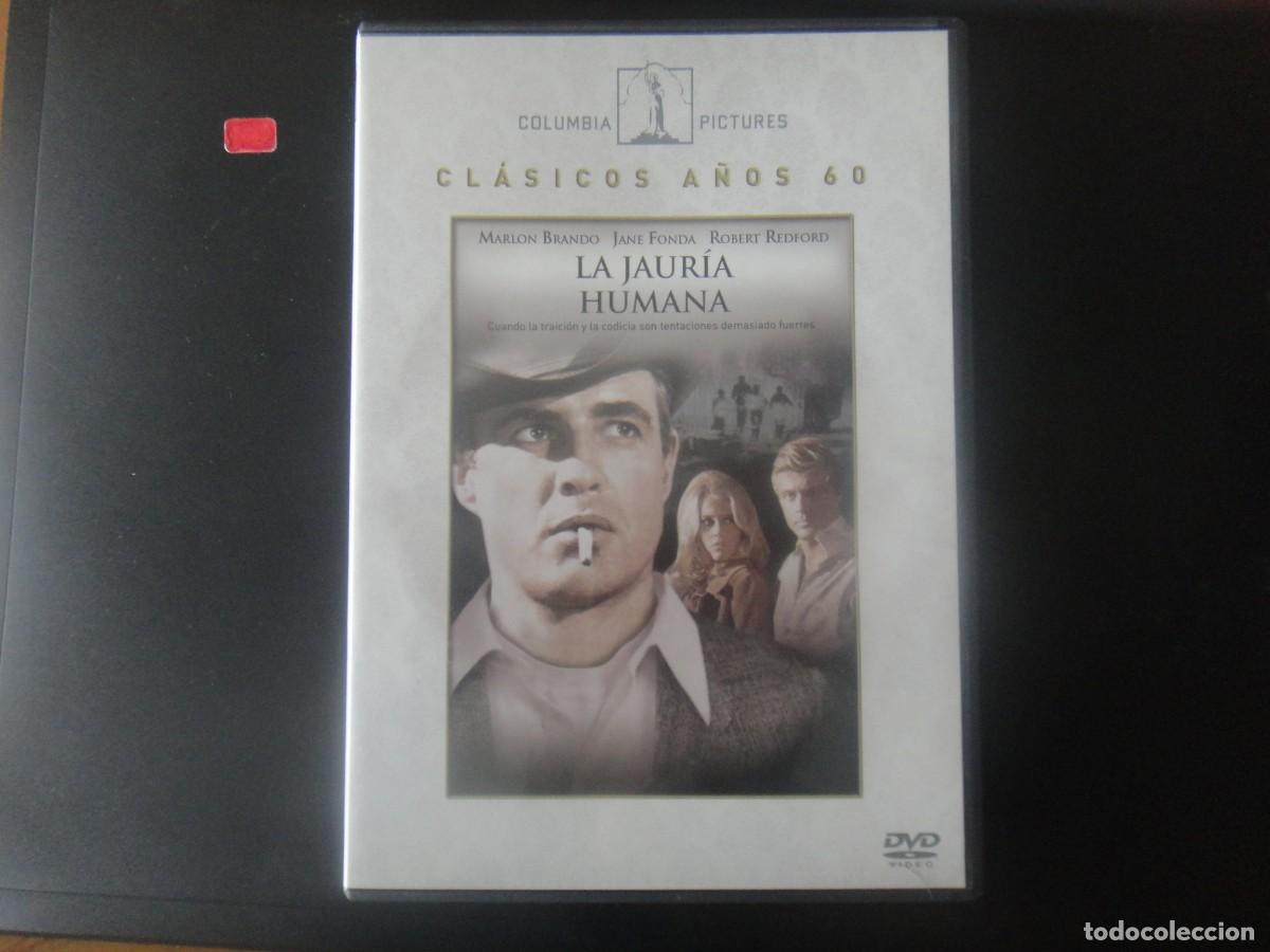 Cine: LA JAURIA HUMANA - MARLON BRANDO / OBRA MAESTRA 1966