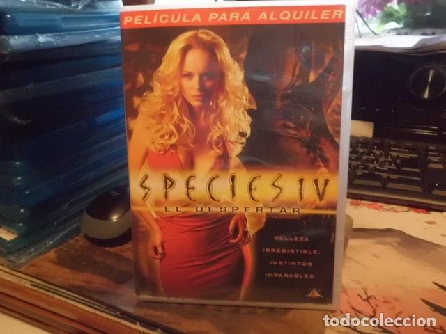 Cine: ESPECIES IV ...........................