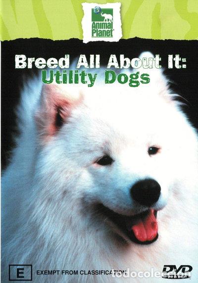Cine: Breed All About It - Utility Dogs- 9315842013677