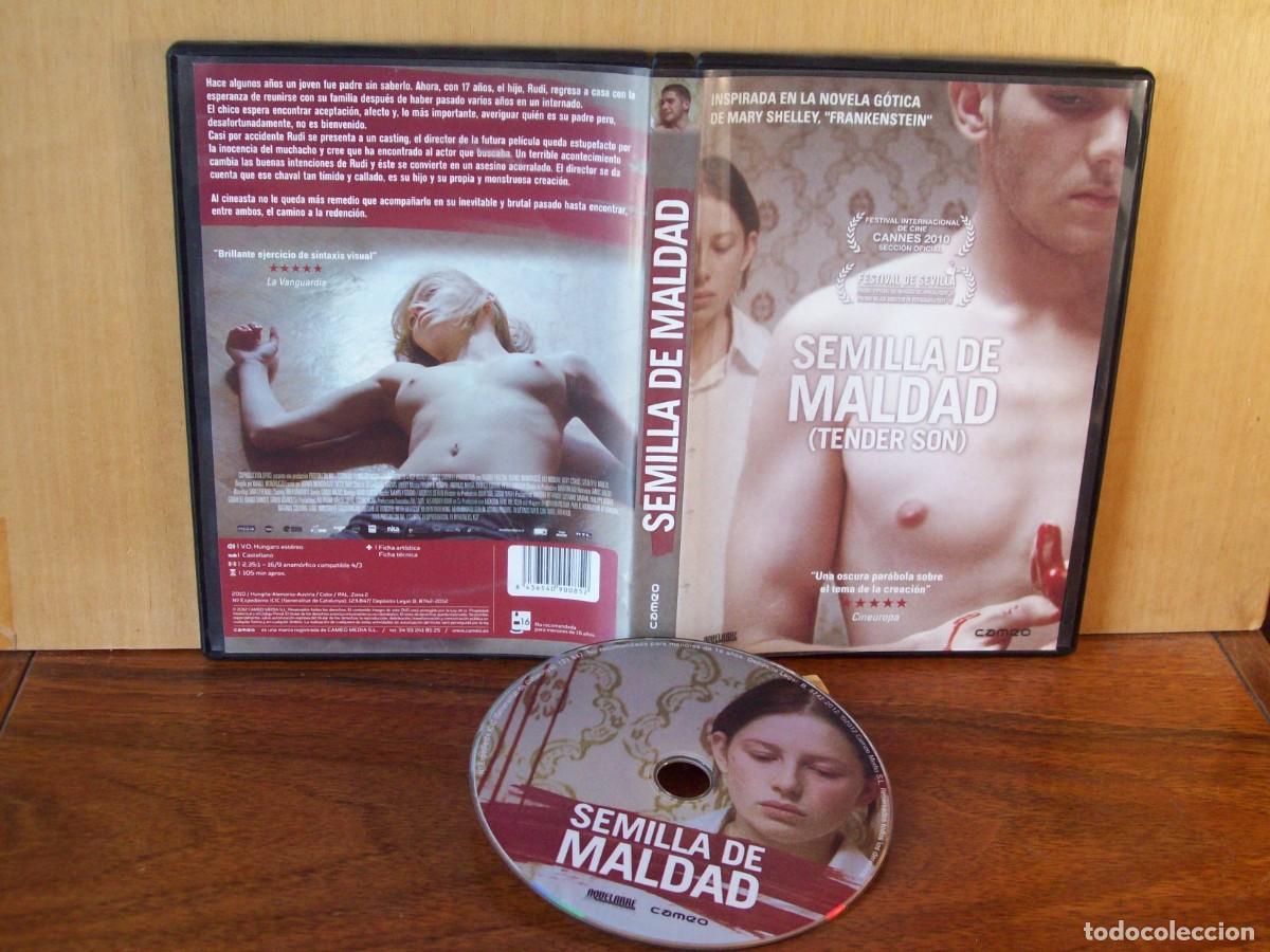 Cine: SEMILLA DE MALDAD - RUDOL PRECKA - KONEIL MUNDRUCKO . LILI MONDRI - DVD