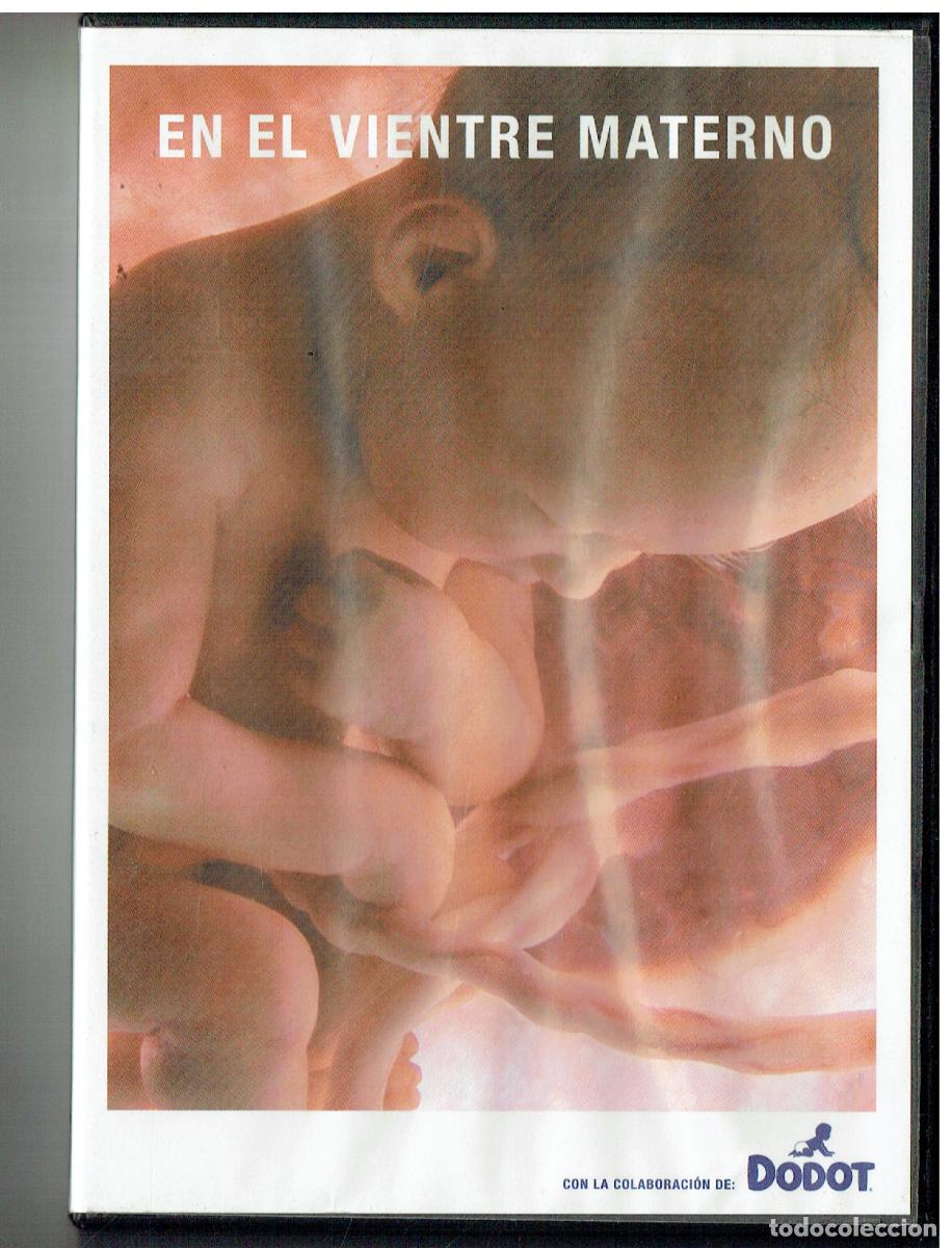 Cine: DVD. VIDEO. EN EL VIENTRE MATERNO. DODOT. (&Ntilde;/200.1)