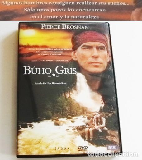 Cine: B&Uacute;HO GRIS DVD PEL&Iacute;CULA HECHO REAL PIERCE BROSNAN GALIPEAU ATTENBOROUGH PIONERO DEFENSA NATURALEZA DE