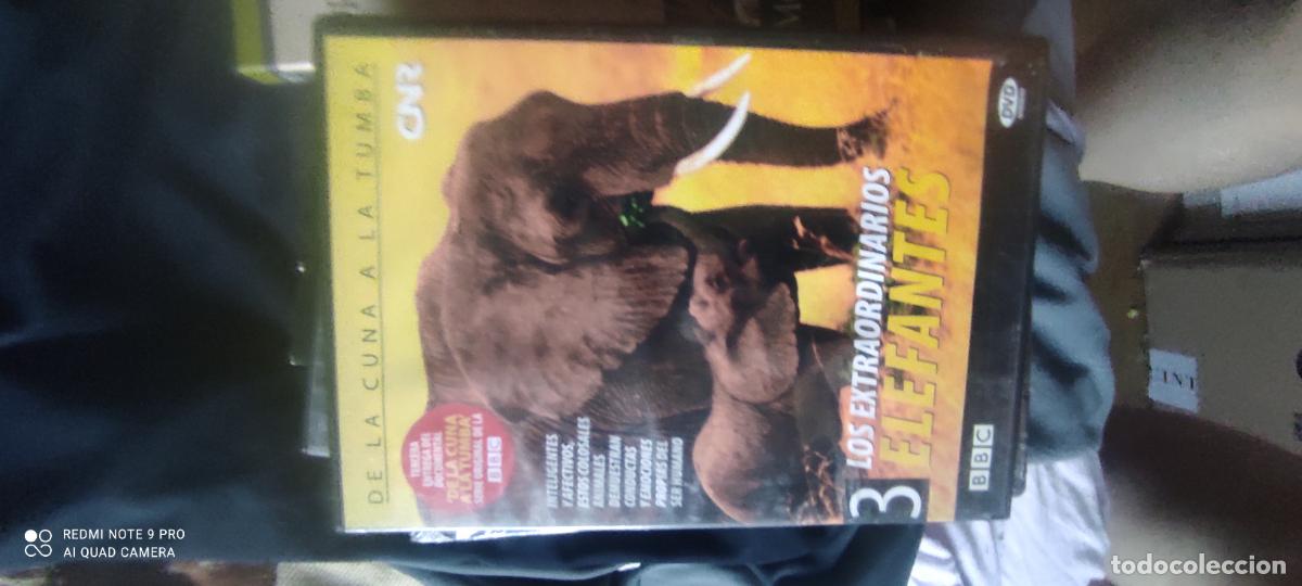 Cine: ELEFANTES Los extraordinarios BBC N&ordm; 3 DOCUMENTAL DVD 2003 DE LA CUNA A LA TUMBA