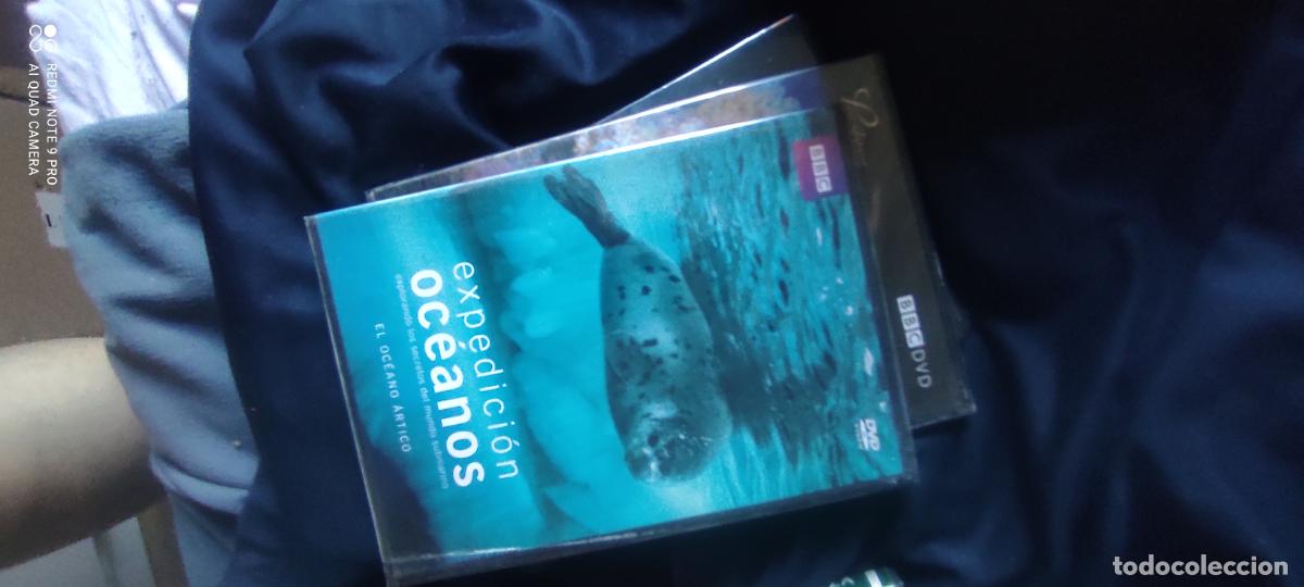 Cine: Expedici&oacute;n Oce&aacute;nos. El oce&aacute;no Artico