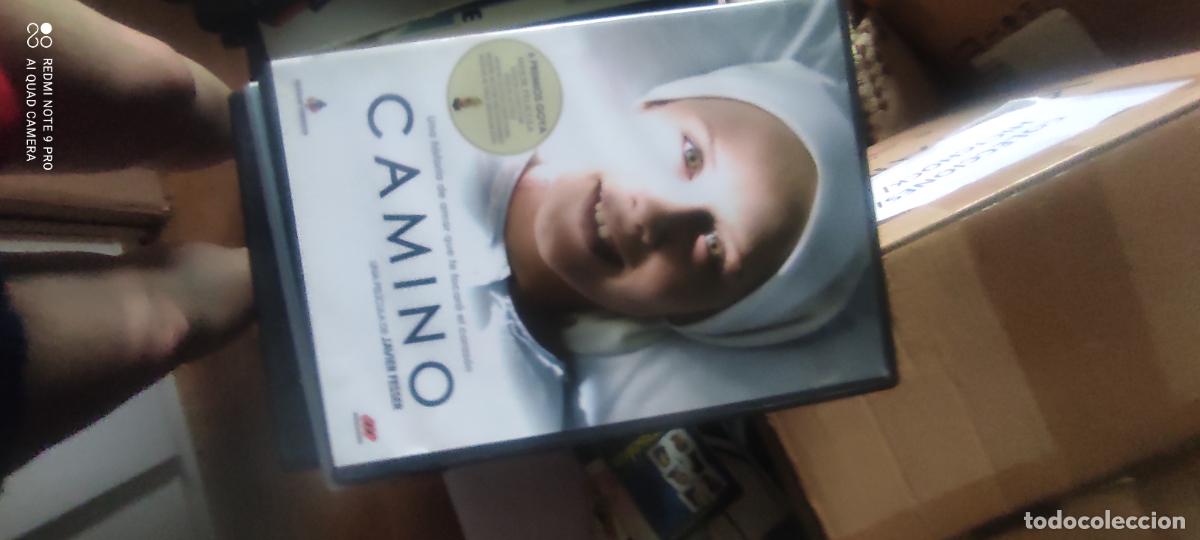 Cinema: Camino, pel&iacute;cula, dvd