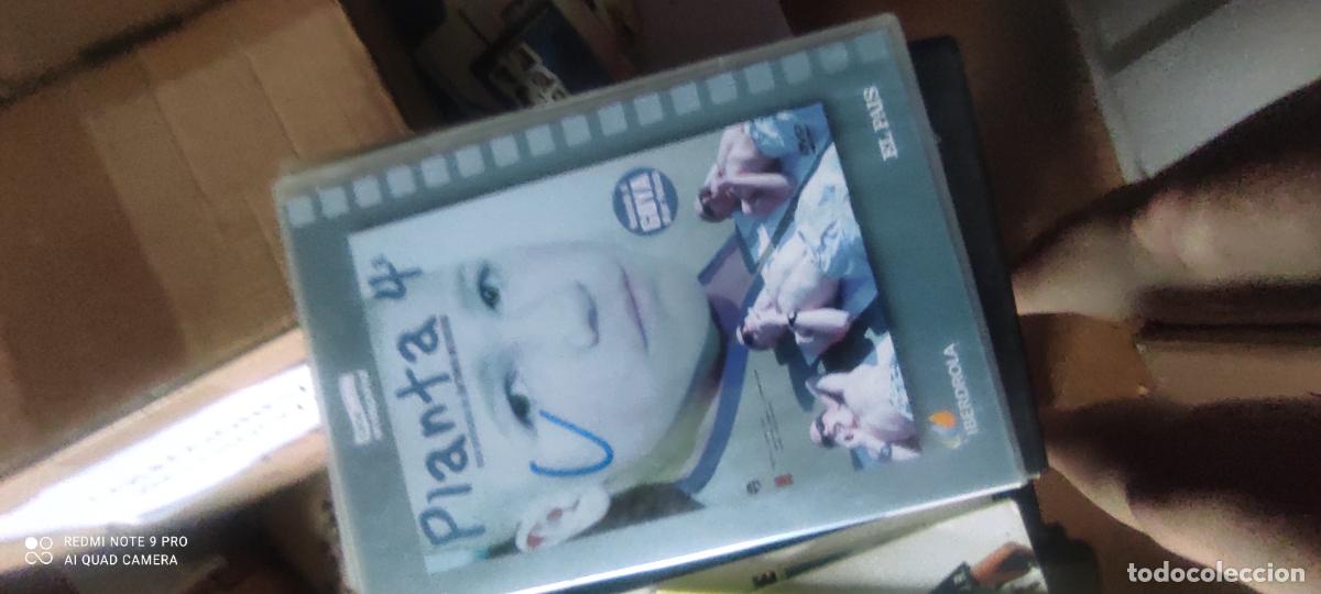 Cinema: Planta 4, pel&iacute;cula, dvd