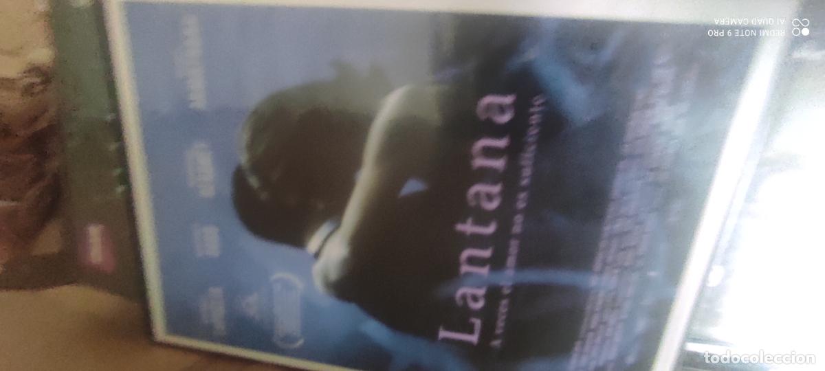 Cine: Lantana, pel&iacute;cula, dvd