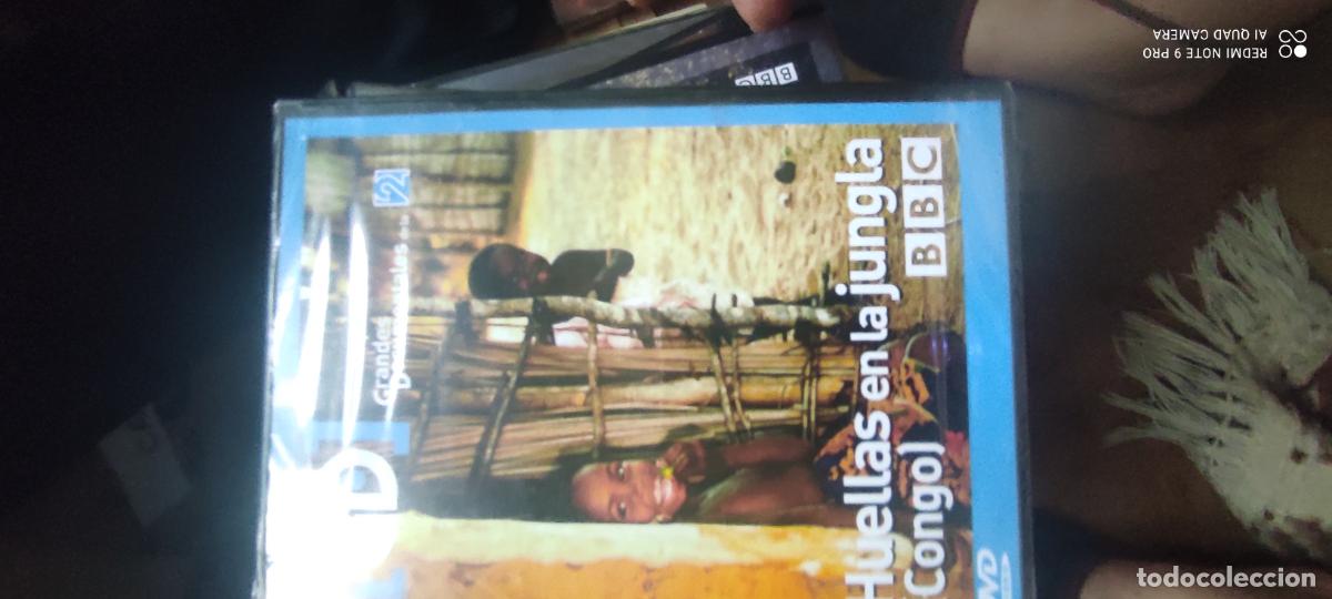 Cine: Huellas en la jungla El Congo