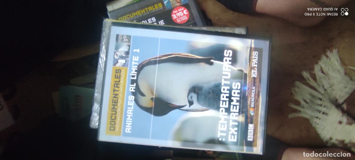 Cine: Temperaturas extremas. Pel&iacute;cula DVD