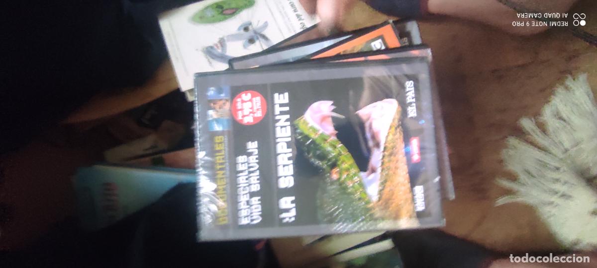 Cine: La serpiente. Pel&iacute;cula DVD
