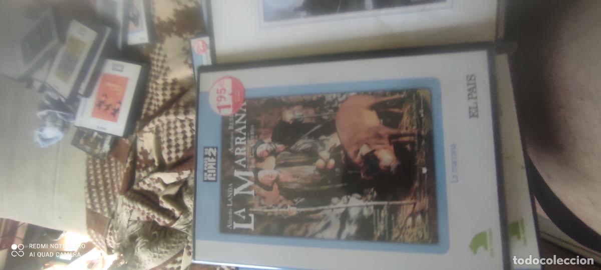 Cine: La marrana. Pel&iacute;cula DVD