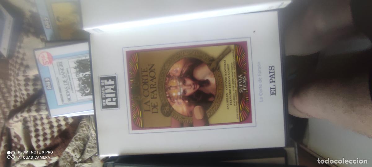 Cine: La corte del fara&oacute;n. Pel&iacute;cula DVD