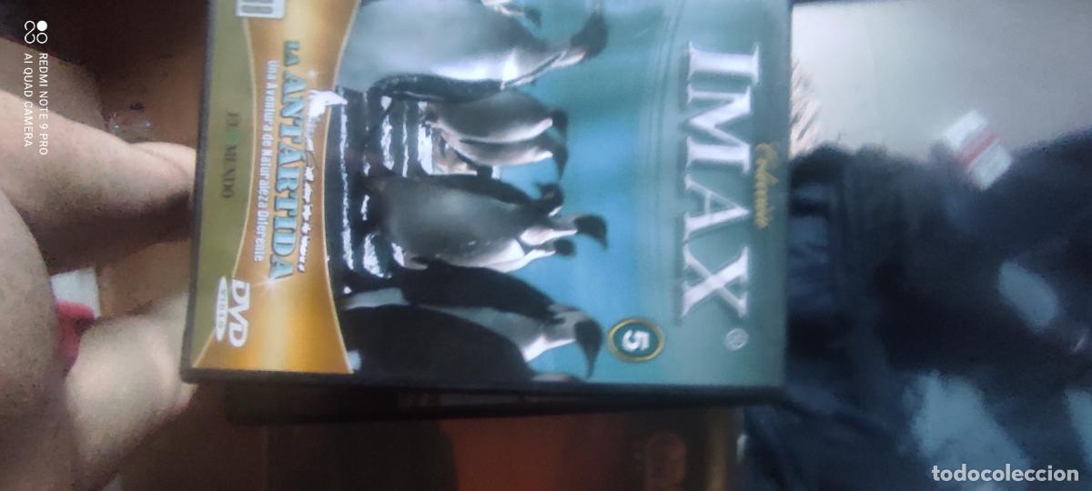 Cine: Imax. la Antartida . Pel&iacute;cula. DVD