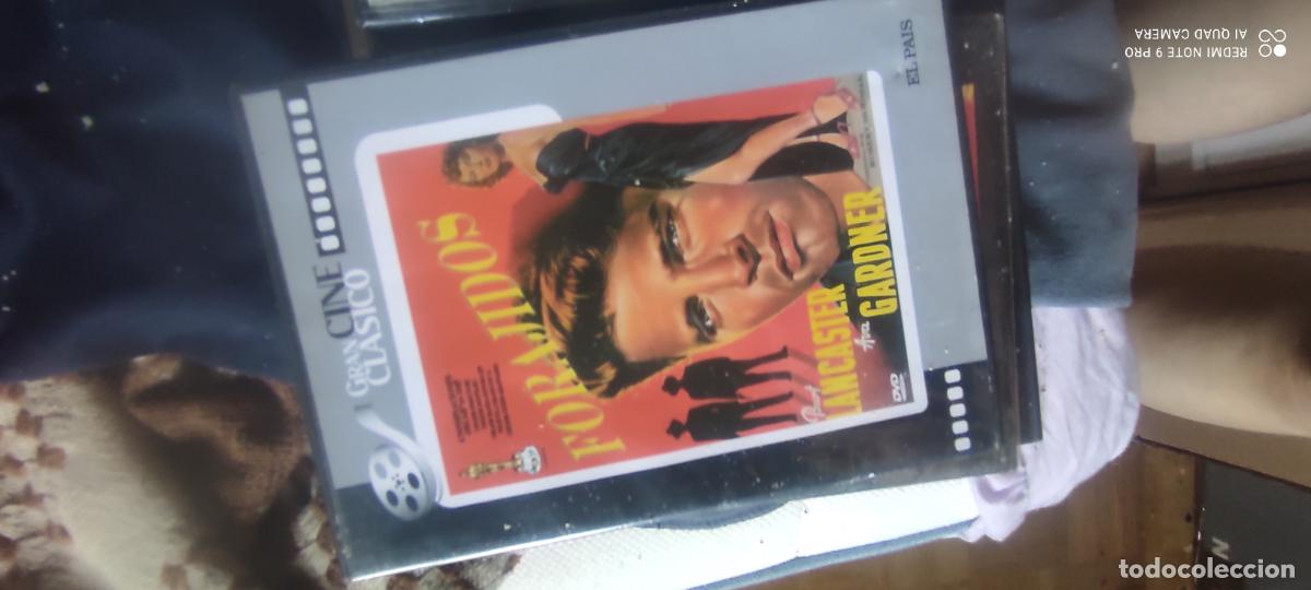 Cine: Forajidos. Pel&iacute;cula. DVD