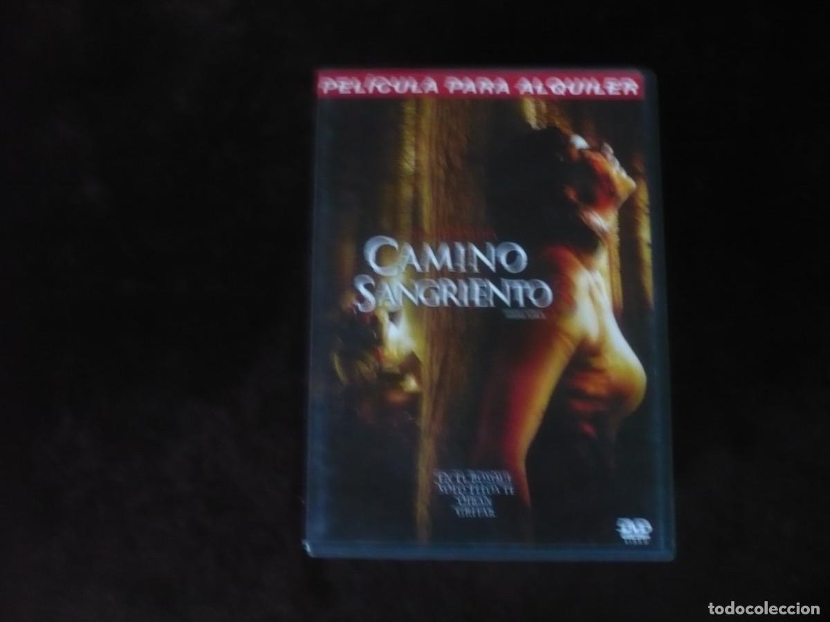 Cine: camino sangriento 3 - dvd casi como nuevo
