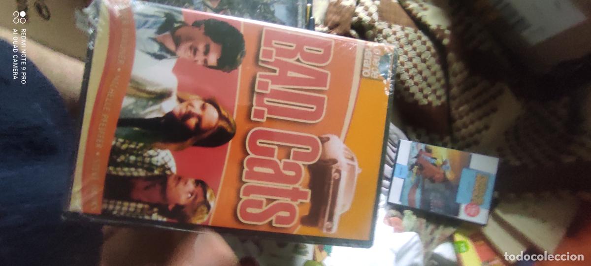 Cine: BAD cats. Pel&iacute;cula/ DVD.