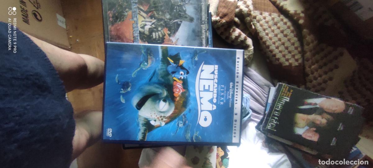 Cine: Nemo. Pel&iacute;cula/ DVD.