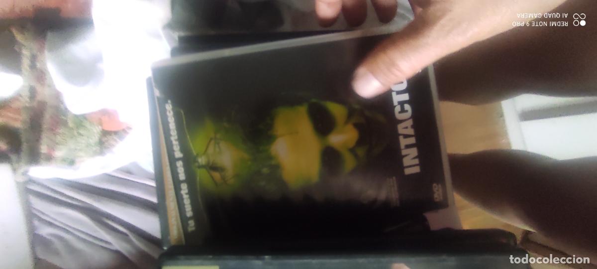 Cine: Intacto. Pel&iacute;cula/ DVD.