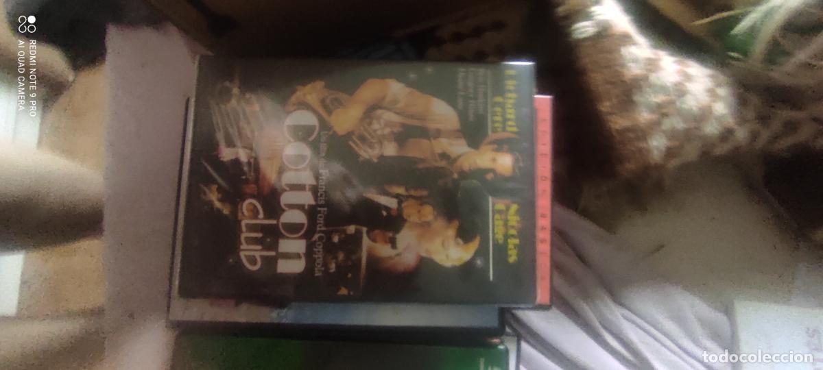 Cine: Cotton Club. Pel&iacute;cula/ DVD.