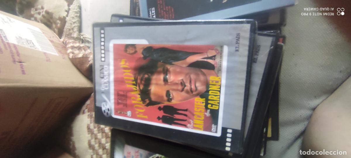 Cine: Forajidos. Pel&iacute;cula/ DVD.