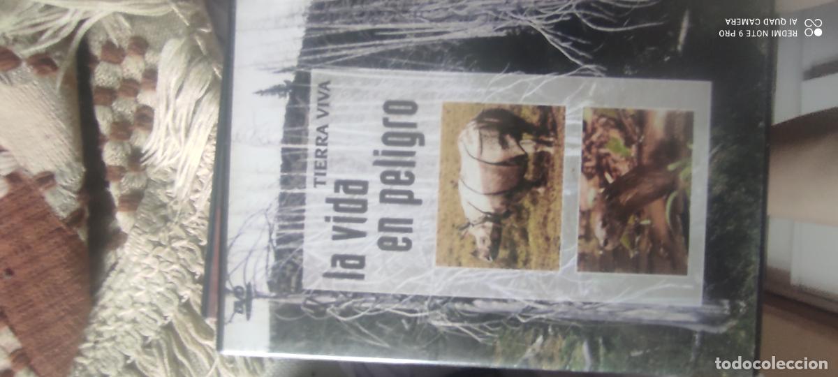 Cine: La vida en peligro. Pel&iacute;cula/ DVD.