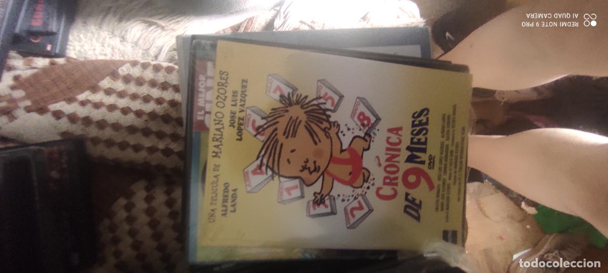 Cine: Cr&oacute;nica de nueve meses. Pel&iacute;cula/ DVD.