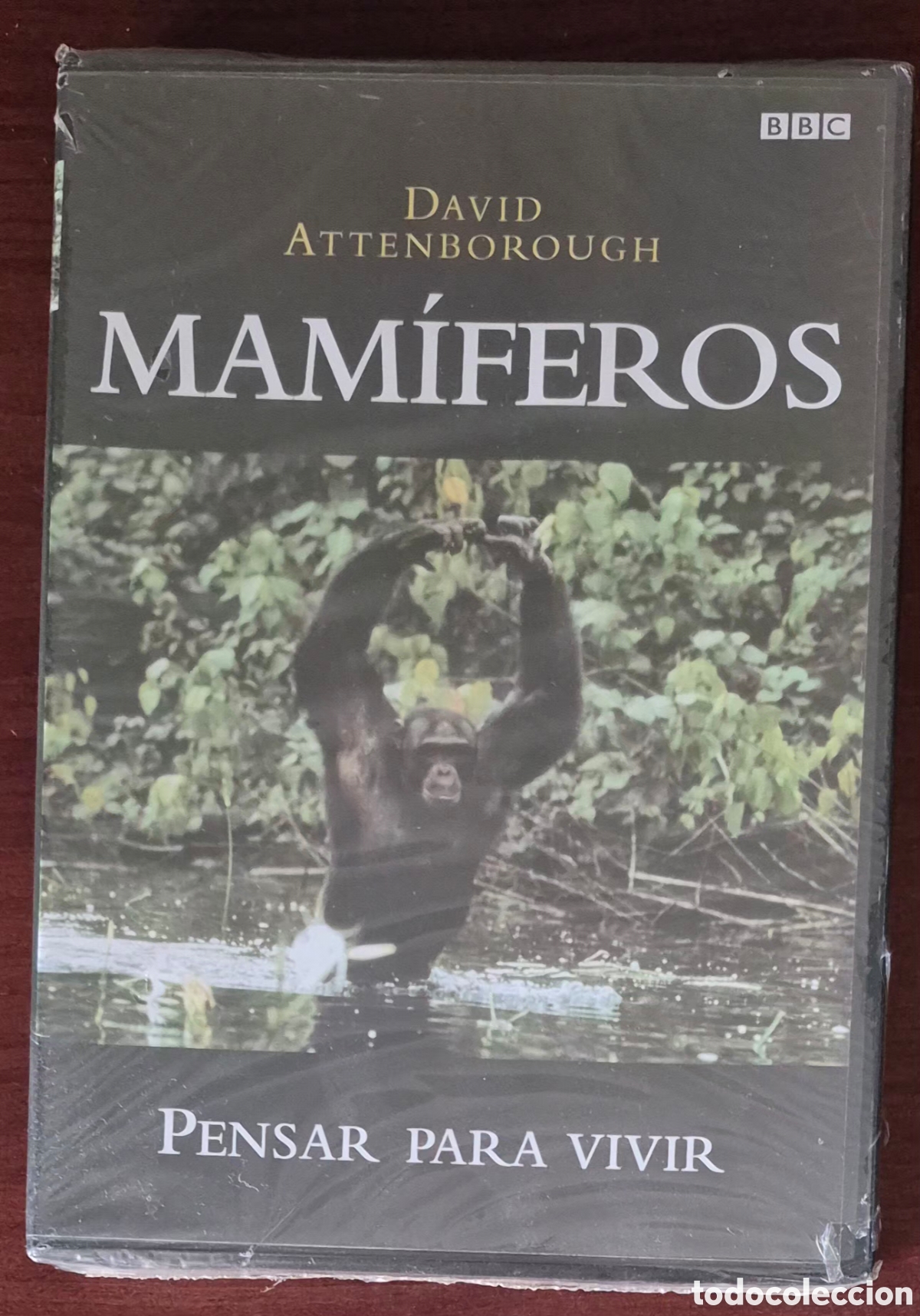 Cine: DVD - DAVID ATTENBOROUGH - MAM&Iacute;FEROS VOL.10, PENSAR PARA VIVIR
